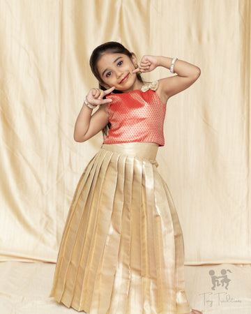 Crop Top & Skirt - Diya - Coral Pink & Champagne Gold